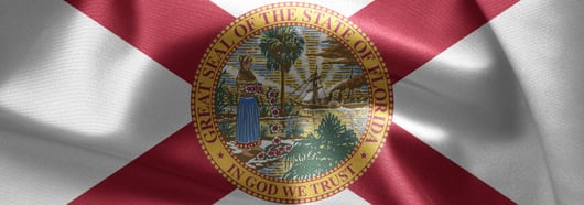 Florida Supreme Court Identifies Limits on Governmental Immunity Doctrines